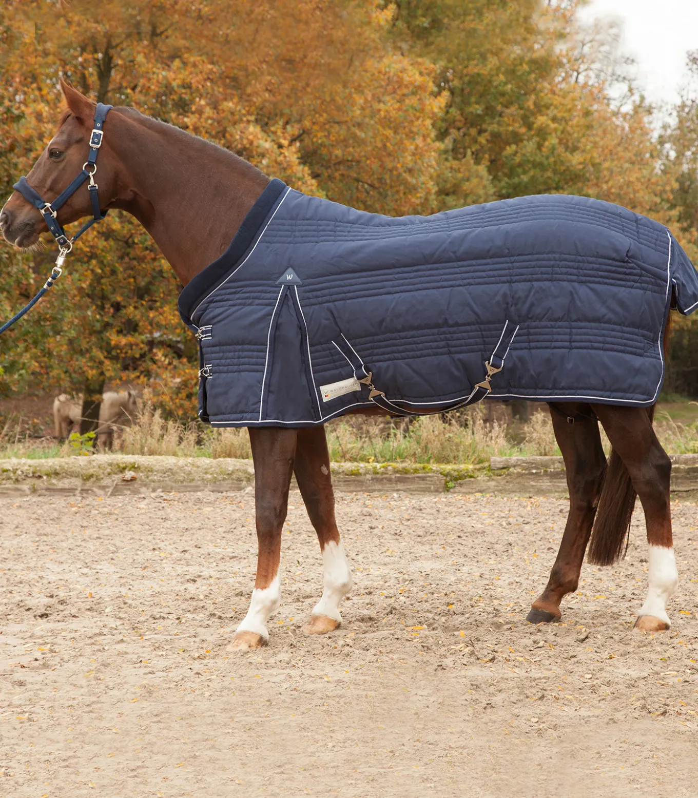 COMFORT Stalldecke, 100 g