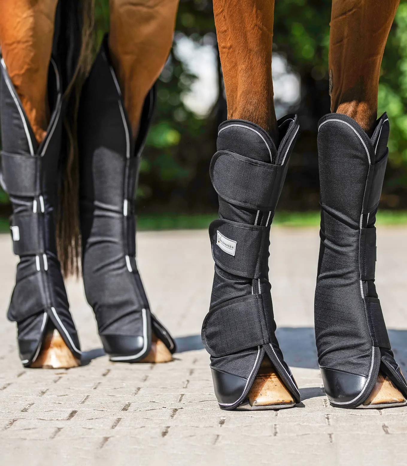 COMFORT Transportgamasche, 4er Set