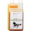 Elektrolyt Liquid - Regeneration und Leistungserhalt, 1l