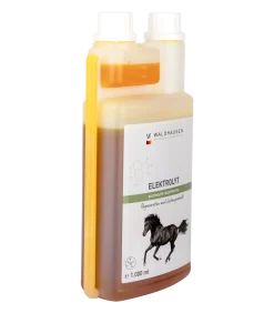 Elektrolyt Liquid - Regeneration und Leistungserhalt, 1l