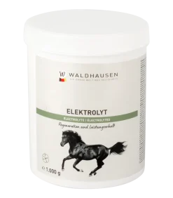 Elektrolyt - Regeneration und Leistungserhalt, 1kg