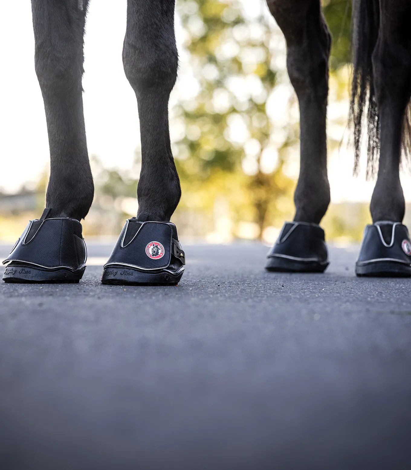Equine Fusion® Active Jogging Shoe