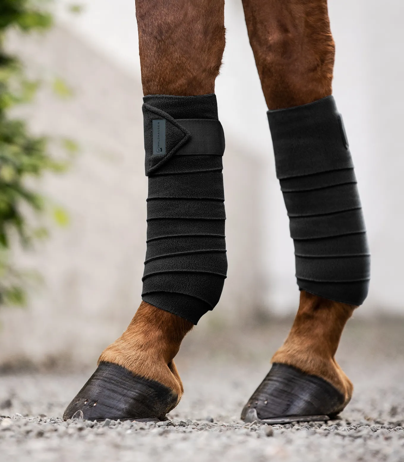 Fleecebandage Basic, 4er Set