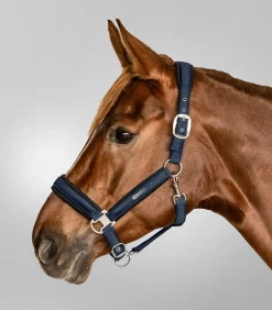 Halfter Breath