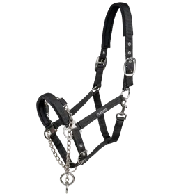 Halfter Pro Safety