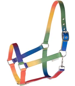 Halfter Regenbogen