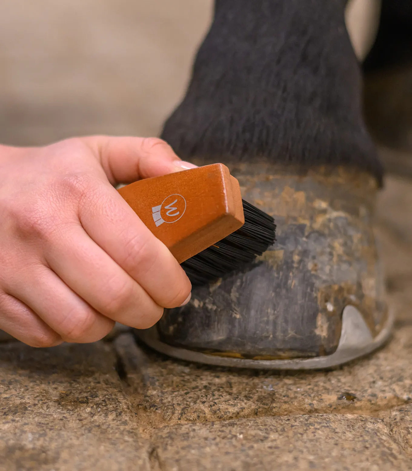 Hufbürste HardWood
