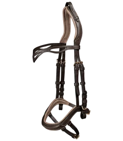 Island Trensenzaum anatomic