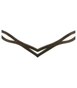 Island Trensenzaum anatomic
