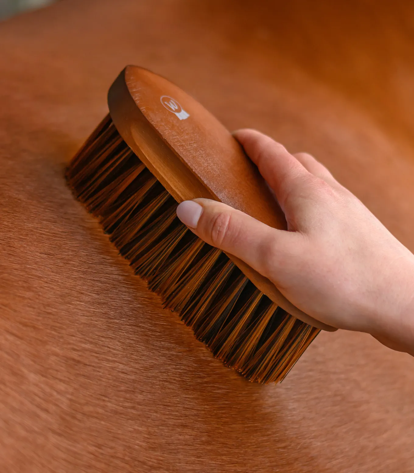Langhaarbürste HardWood