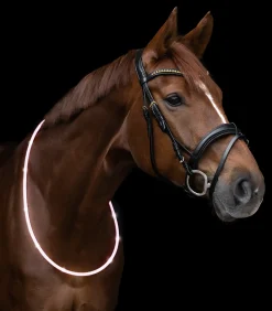 LED Leuchthalsring