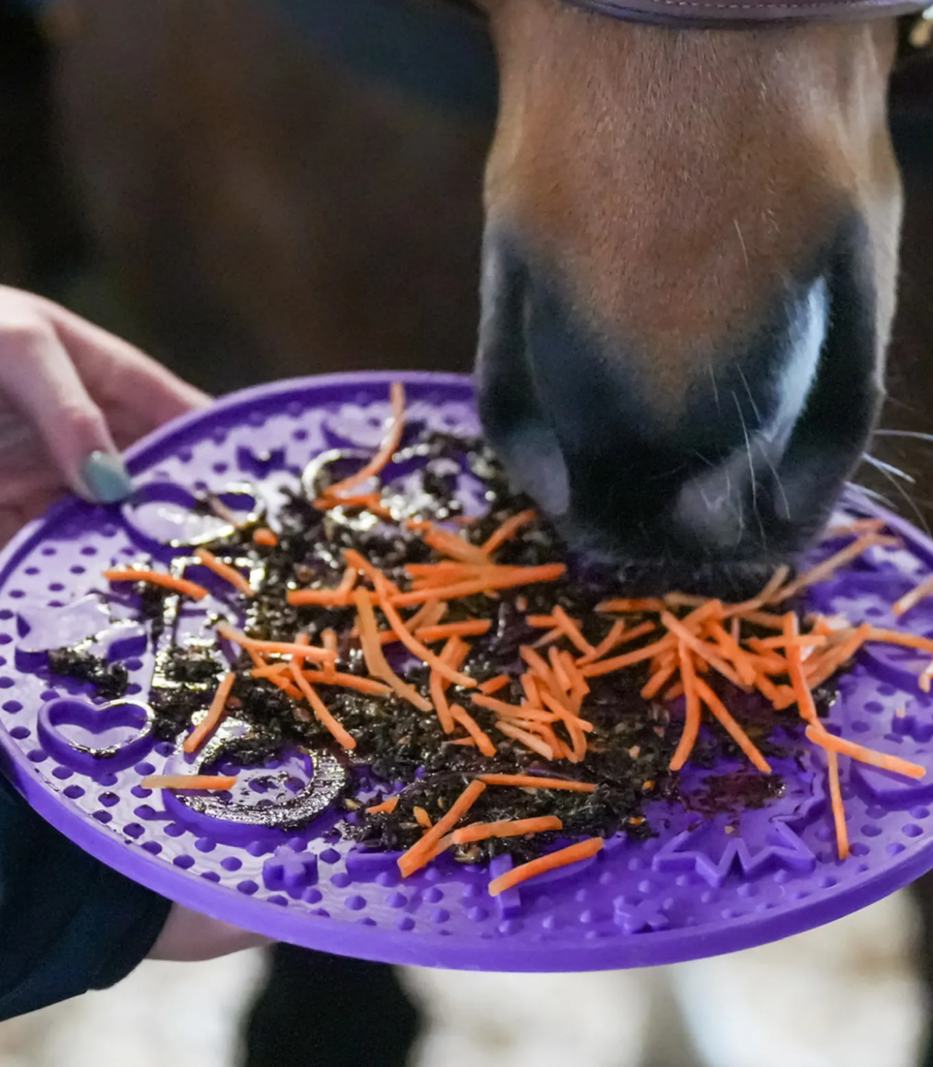 Likit Graze Maze