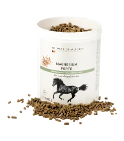Magnesium forte - Für mehr Ausgeglichenheit, 1 kg