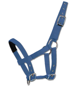 Mini-Shetty Halfter