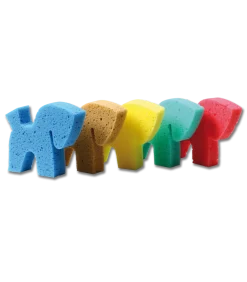 Pferdchen-Schwamm