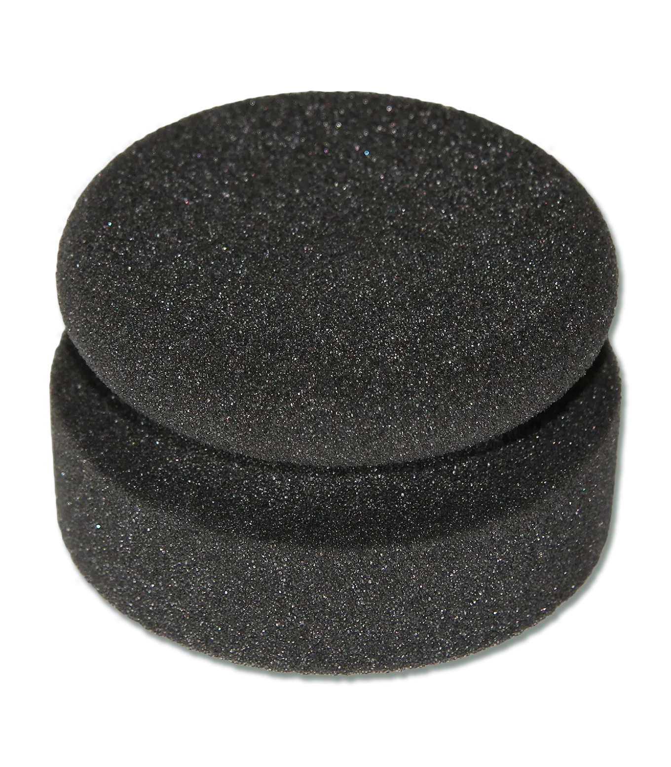 Puckschwamm, schwarz