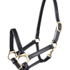STAR Leder Fohlenhalfter