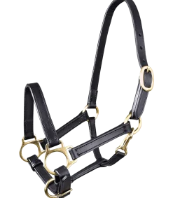 STAR Leder Fohlenhalfter