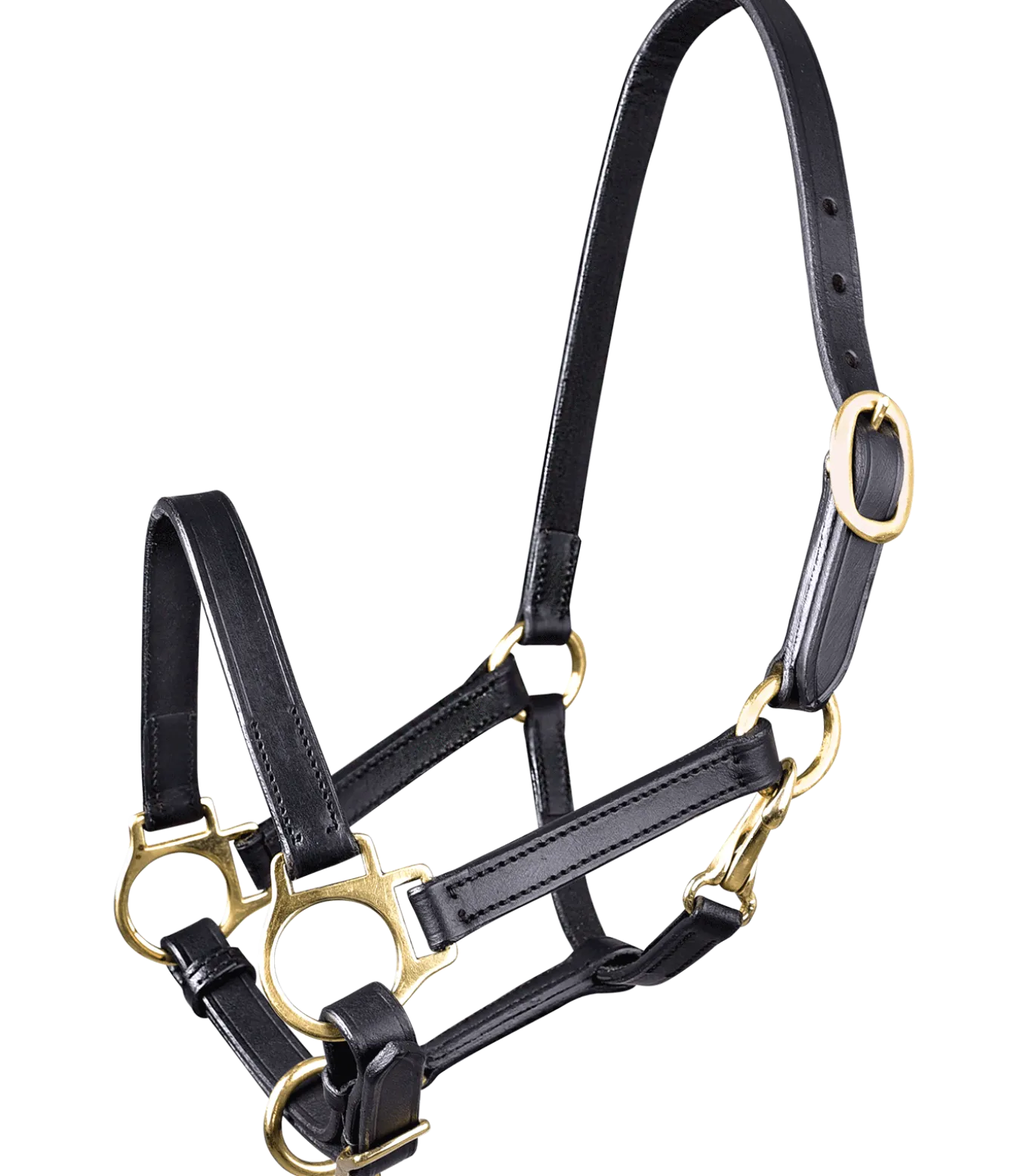 STAR Leder Fohlenhalfter