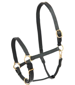 STAR Lederhalfter Robust