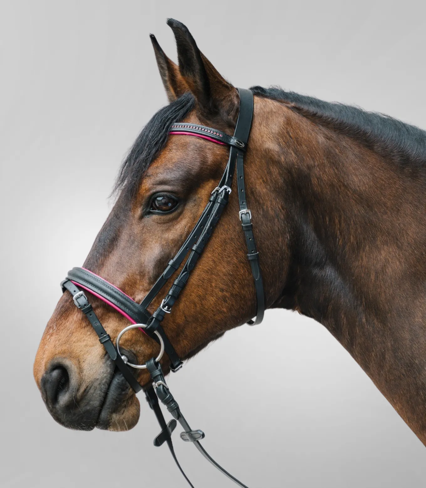 STAR Trensenzaum Diamond