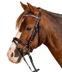STAR Trensenzaum Pinky