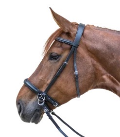STAR Zaum Gebisslos