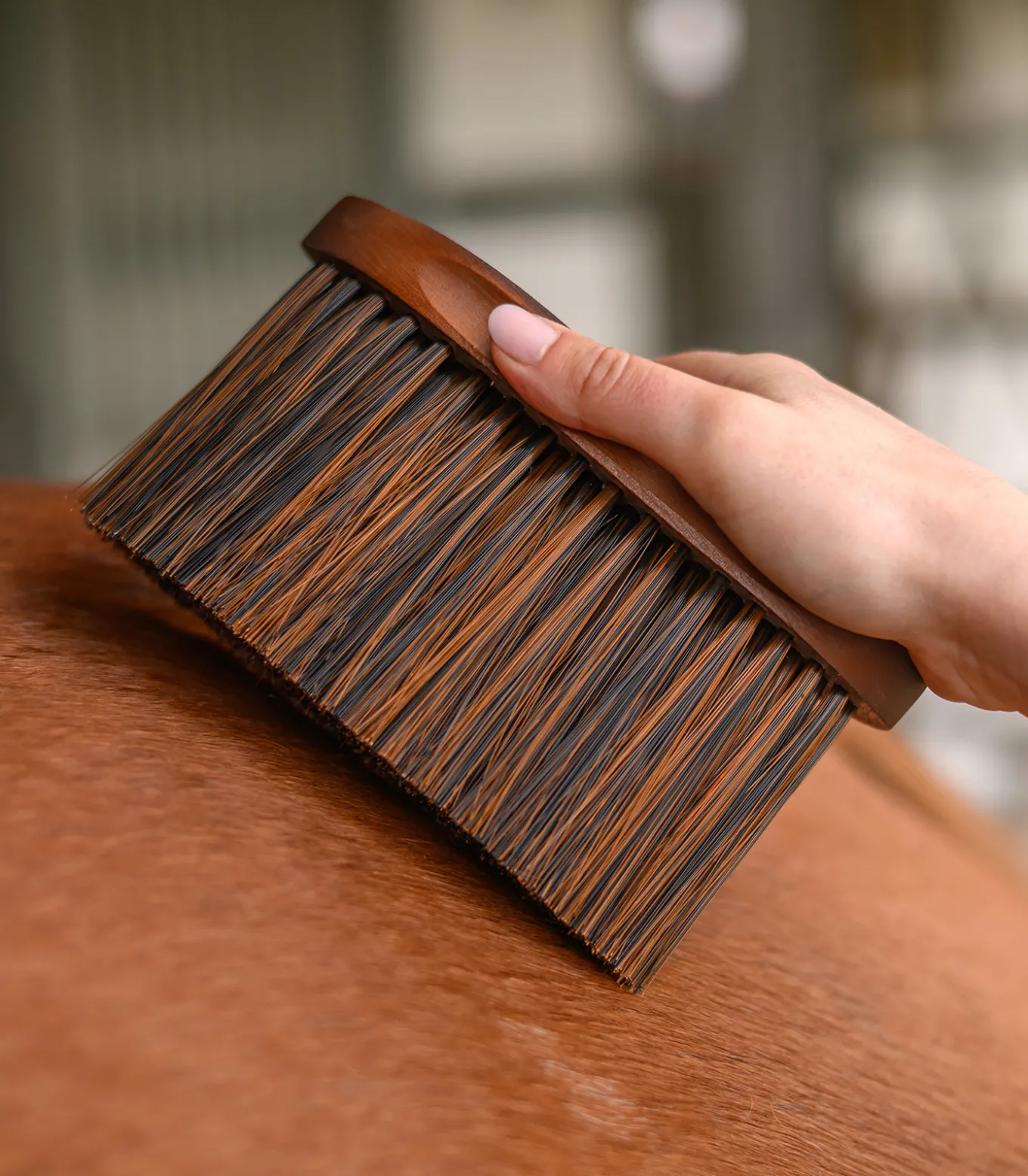 Staubbürste HardWood