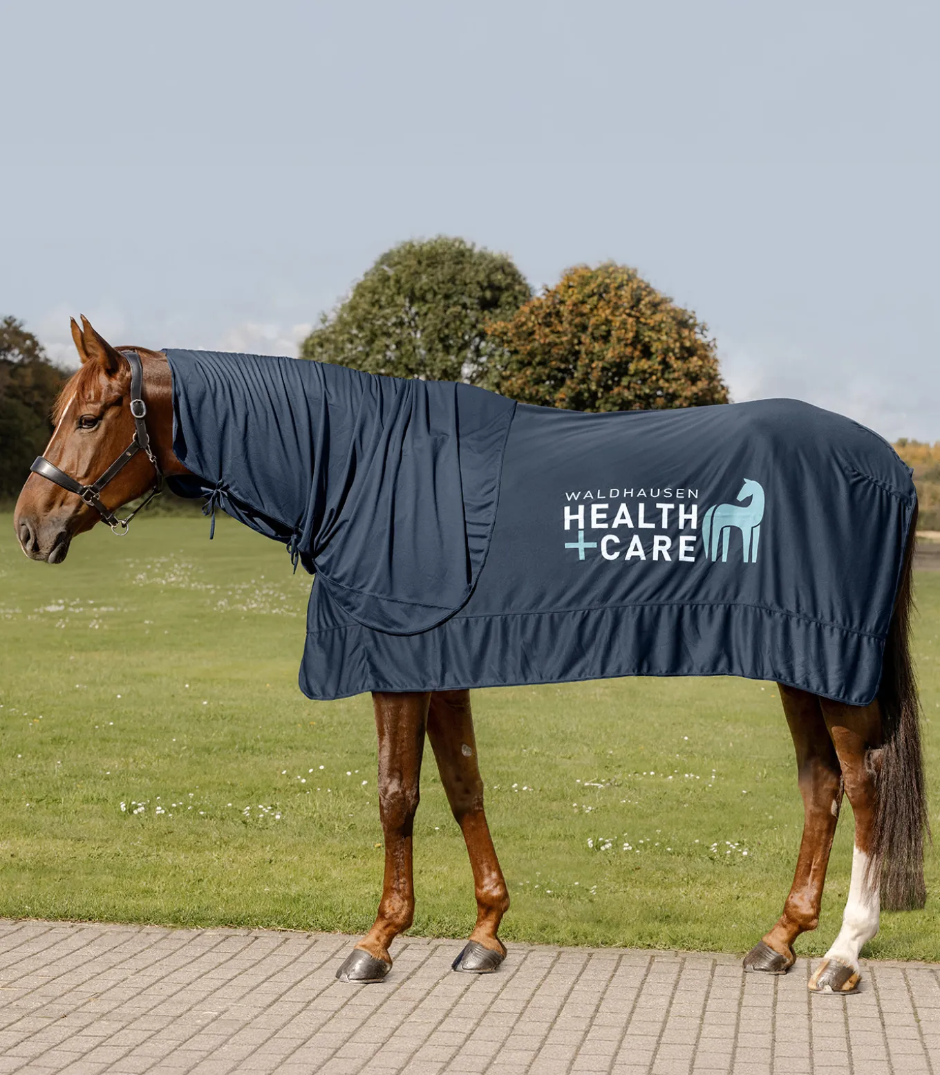 Waldhausen Health + Care Ice-Layer Halsteil