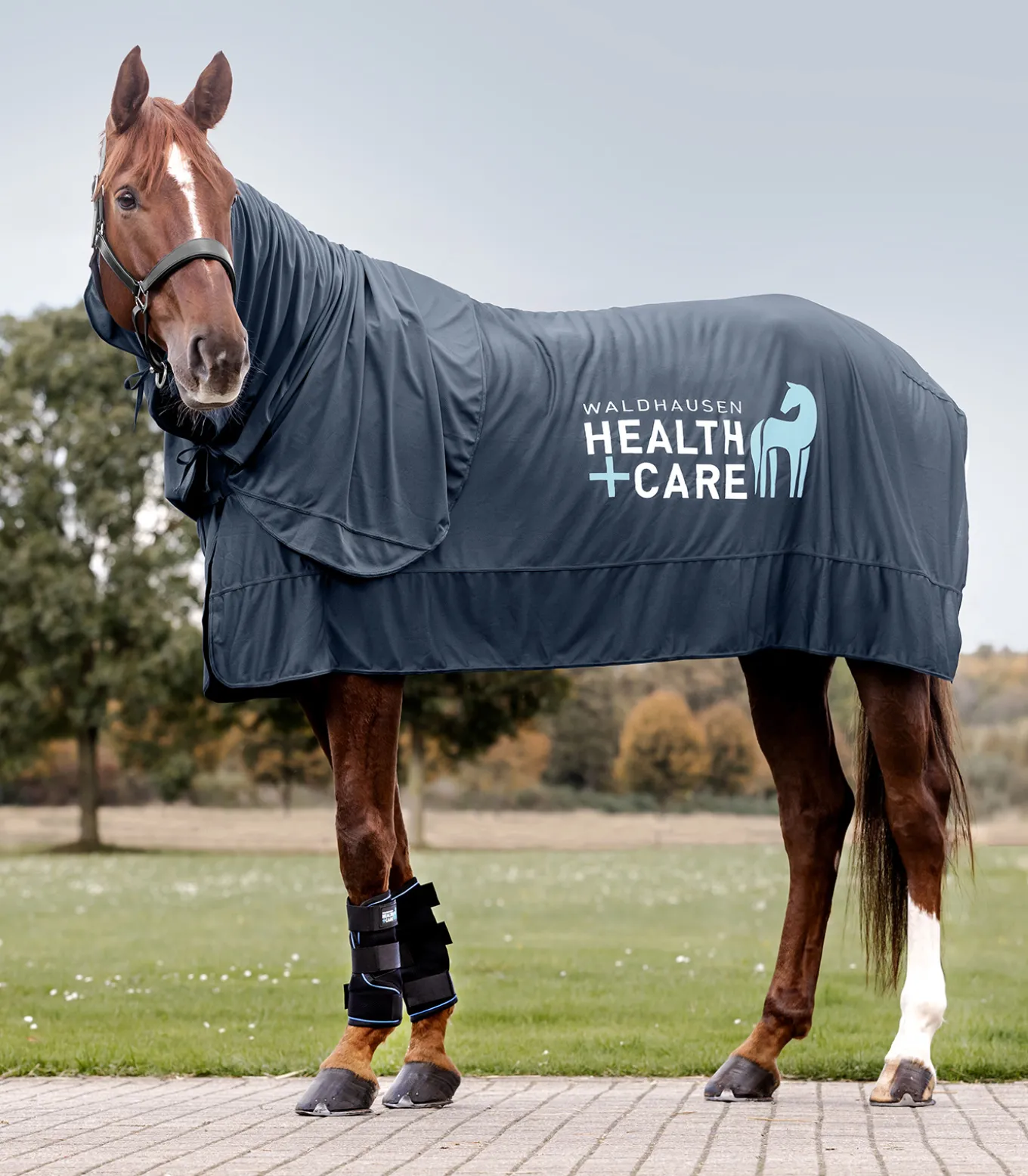 Waldhausen Health + Care Ice-Layer Halsteil