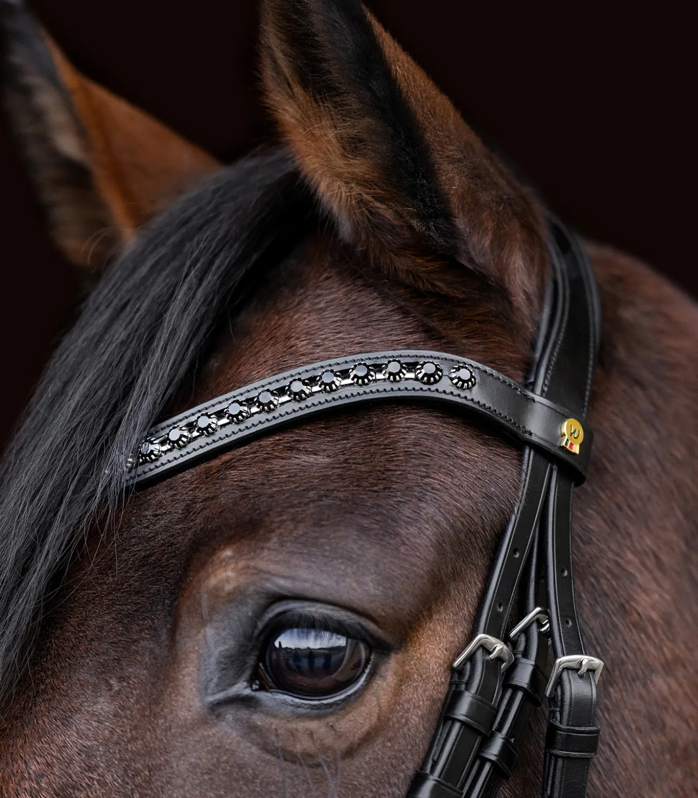 Waldhausen S-Line Lacktrensenzaum Blackshine