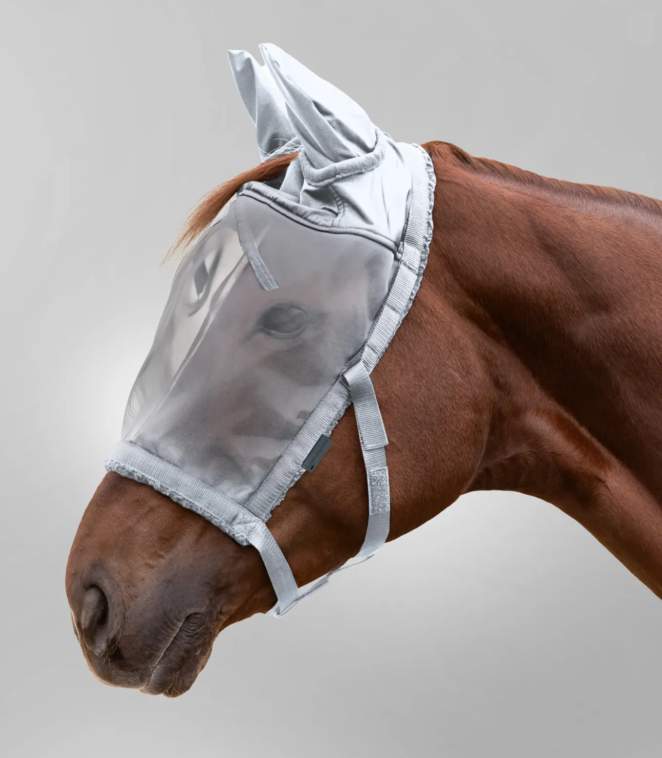 Weidehalfter mit Fliegenmaske