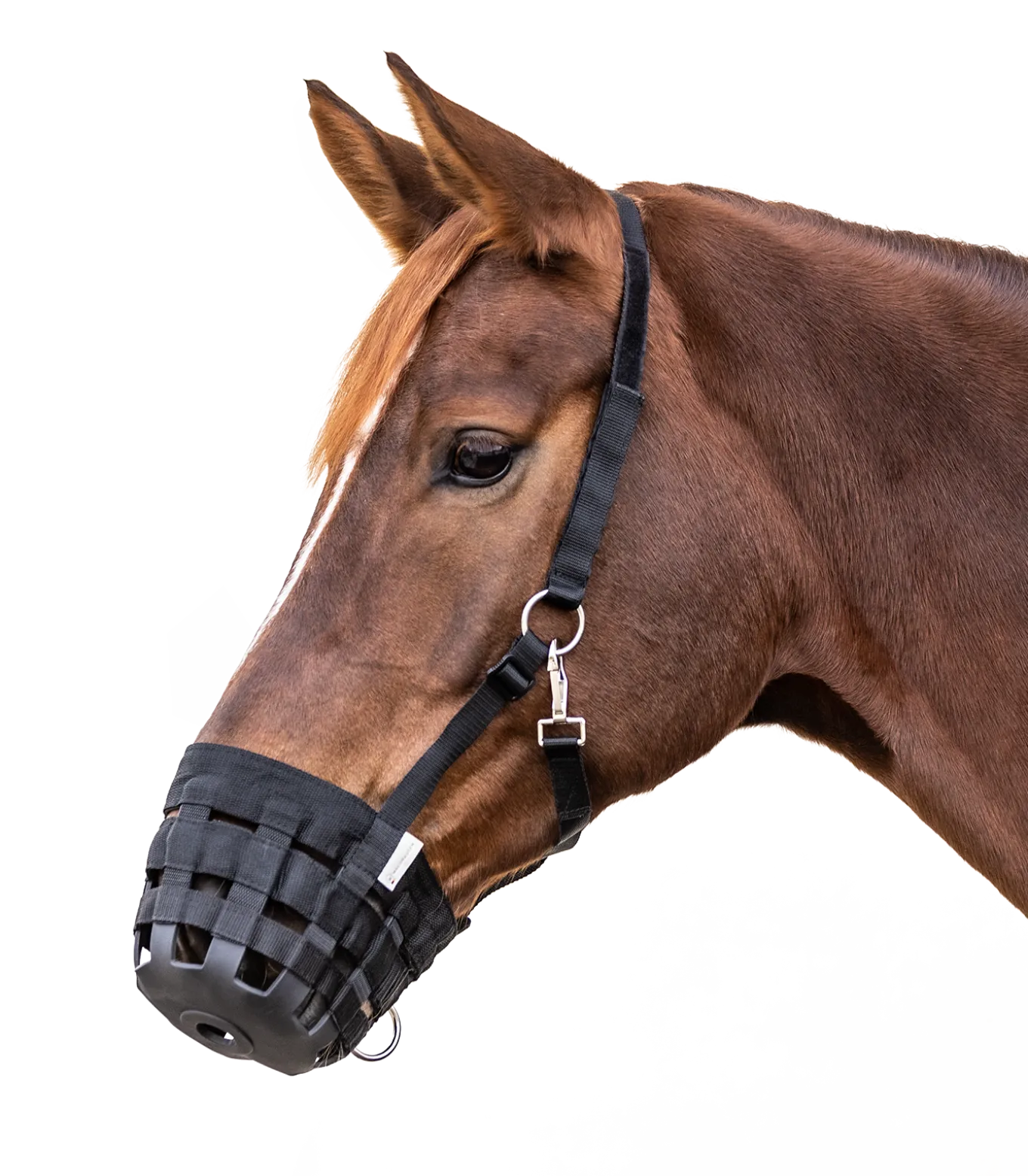 Weide-Maulkorb